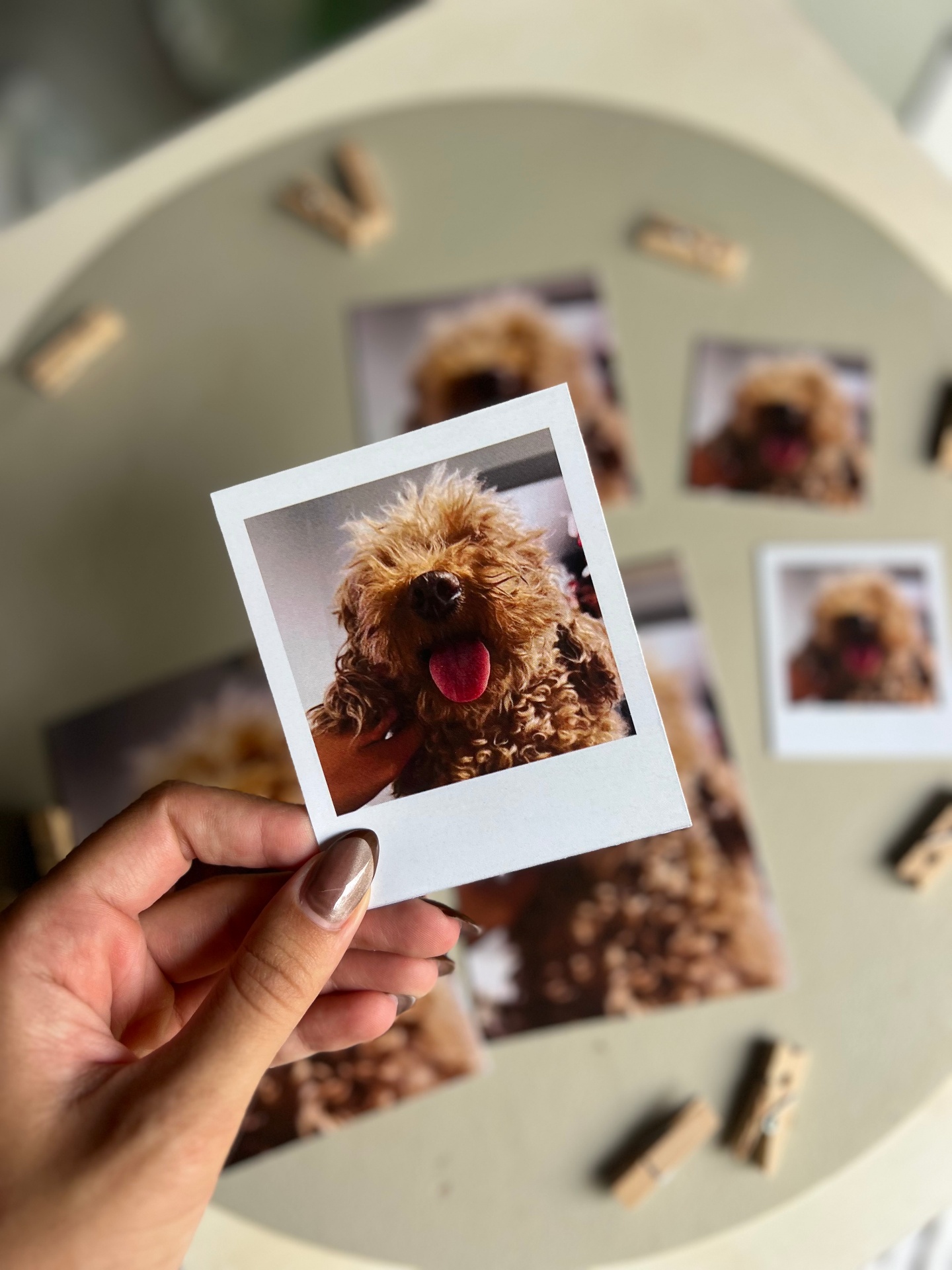 Polaroid personalizada de mascota — FotoPrintSgo